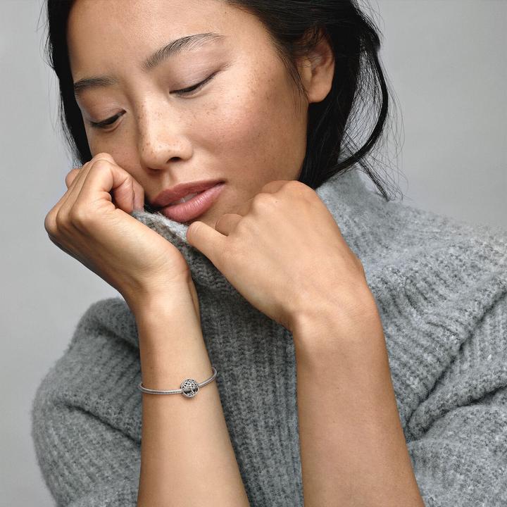 Image du produit Pandora Charm Hommage Familial (Argent)