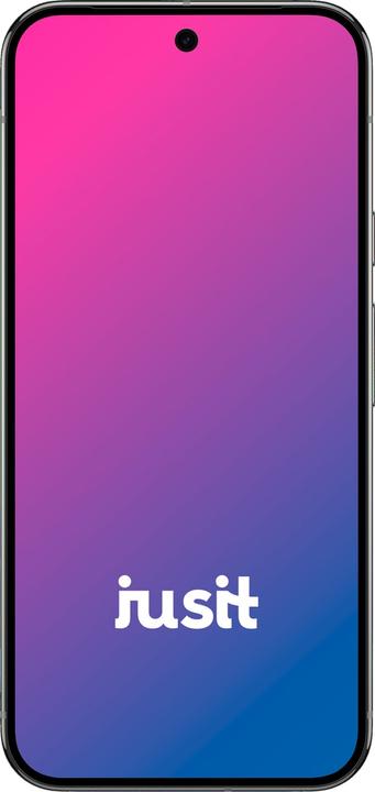 Actual product image jusit Pixel 9 Pro XL (256 GB, Grey, 6.73", 0.00 Mpx, A / Like new)