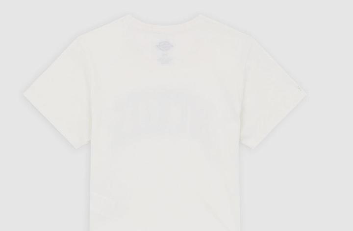 Immagine prodotto Dickies Aitkin Tee Egret (S)