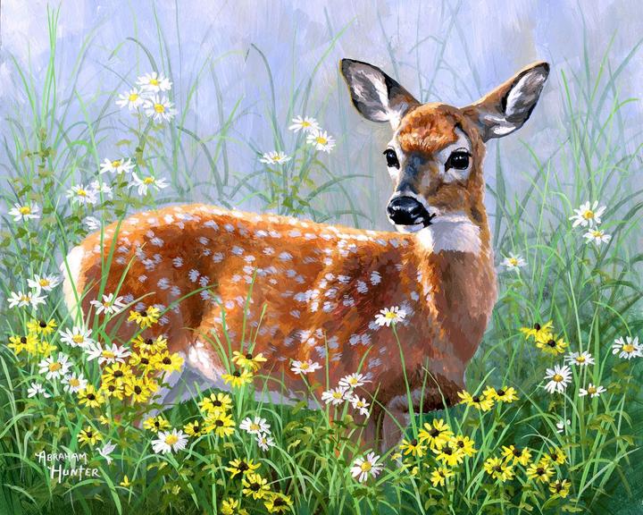 Image du produit Figured'Art Peinture par Numéros - Biche dans la Prairie