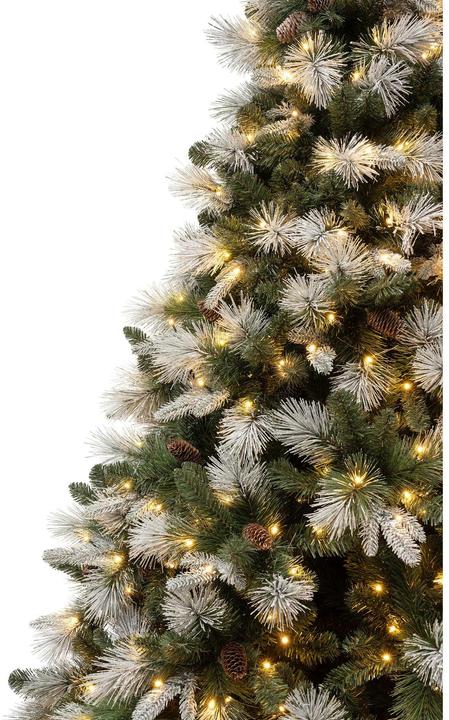 Immagine prodotto STT Albero di Natale a LED (250 cm)
