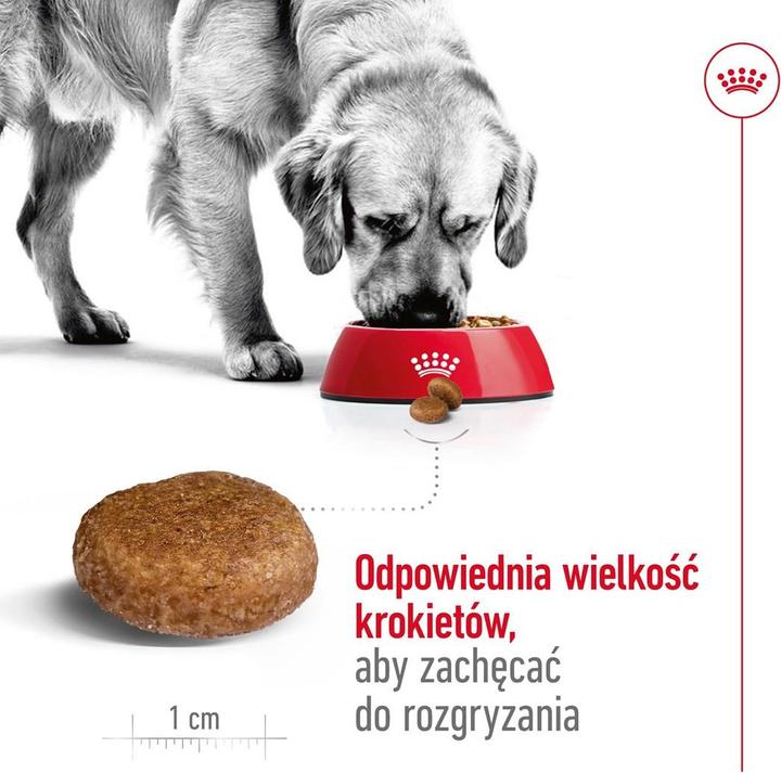 Produktbild Royal Canin Maxi Mature (Senior, 1 Stk., 15000 g)