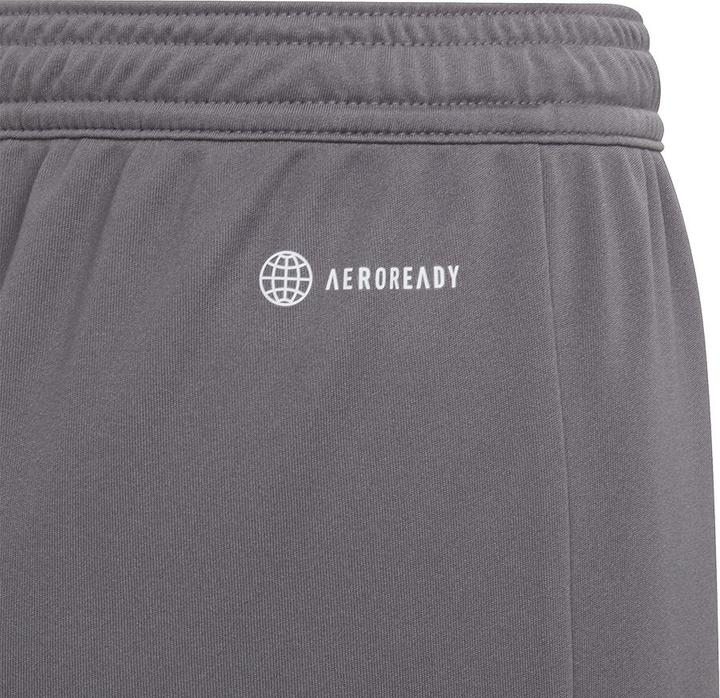 Actual product image adidas Entrada 22 Shorts (140)