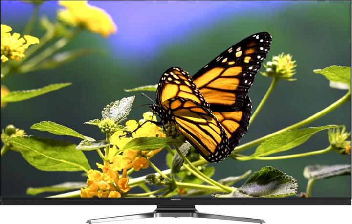Image du produit Grundig 55GUB9981 (55", LCD, 4K)