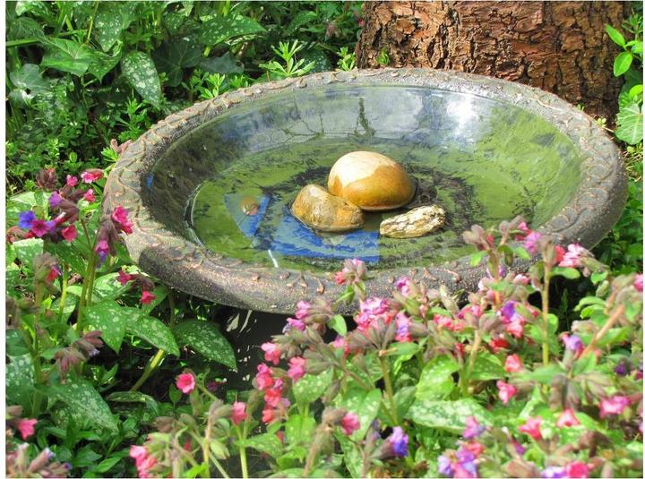 Actual product image Wildlife World Coniston bird bath 50 x 50 x 20.5 cm