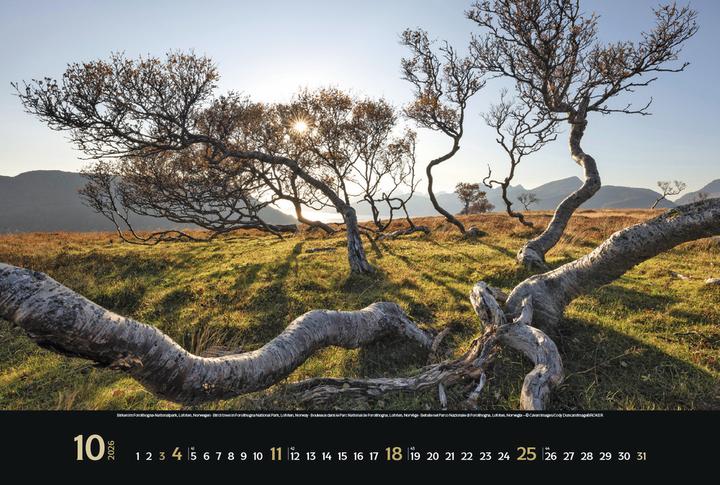 Produktbild Verlag Bildkalender Spirit of Earth 2026, Papierformat: Kein