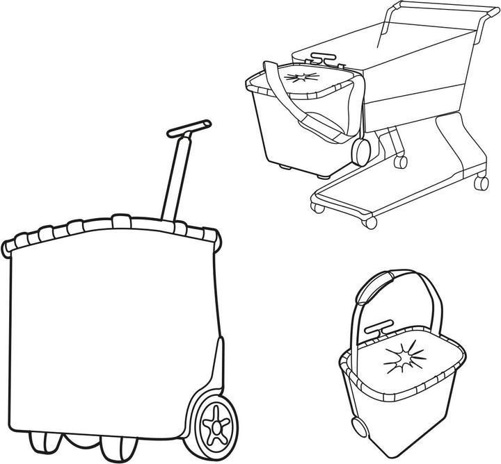 Actual product image reisenthel Carrycruiser