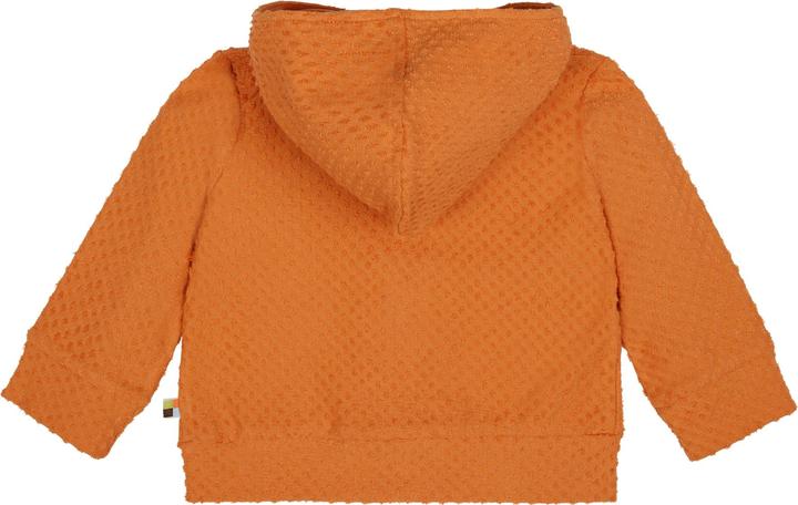 Actual product image loud + proud Terrycloth jacket with dots (68)