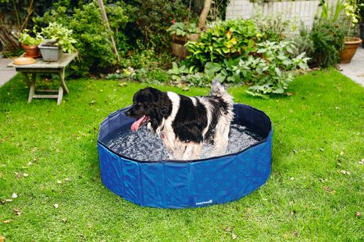 Immagine prodotto Beeztees Piscina per cani (Piscina per cani)