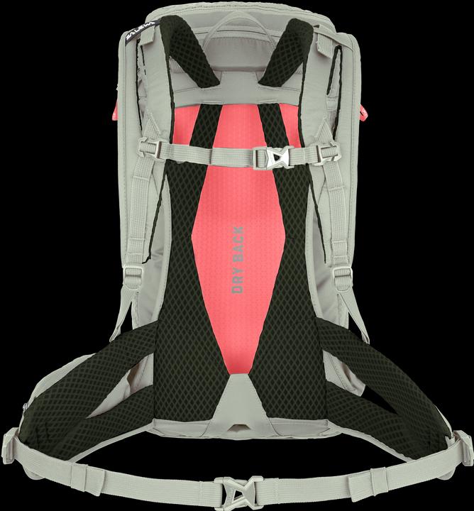Actual product image Salewa Alp Trainer L Backpack Da (20 l)