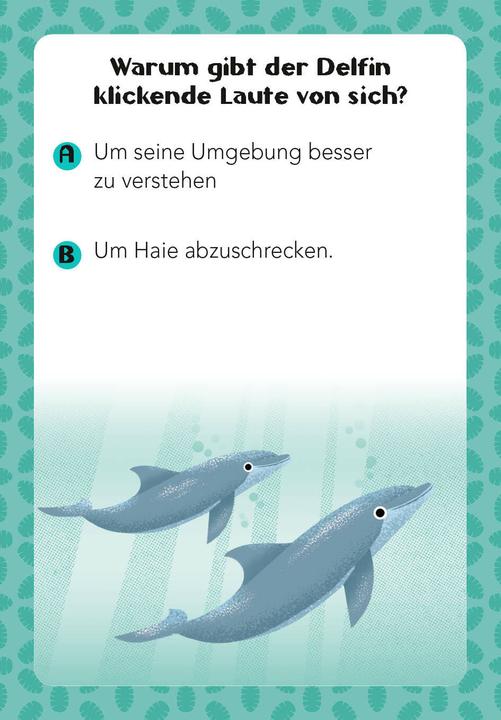 Produktbild National Geographic Tier-Quiz. 100 Fragen über Tiere für Quizfans und Tierfans (100 Fragen & Antworten) (Deutsch)