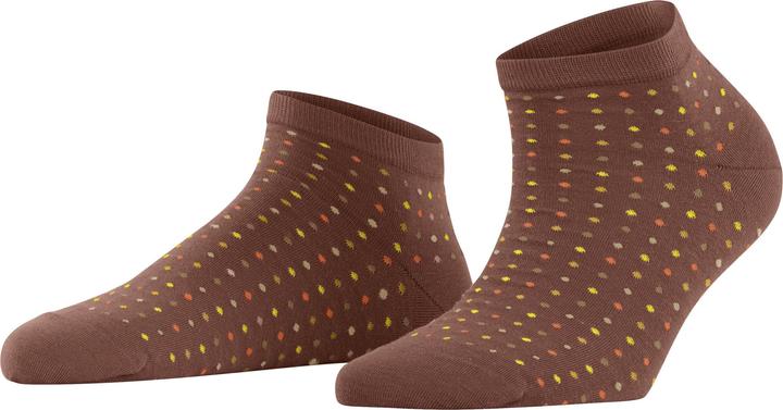 Falke Multispot SN (39 - 42)