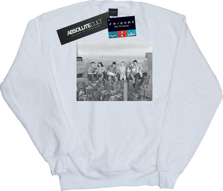 Produktbild Friends Construction Photo Sweatshirt (XL)