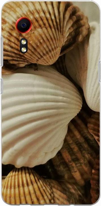 Muscheln