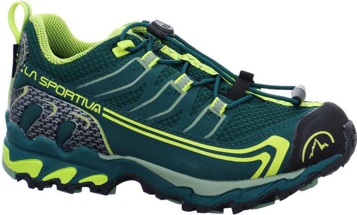 Actual product image La Sportiva Falkon Low GTX Shoes (29)