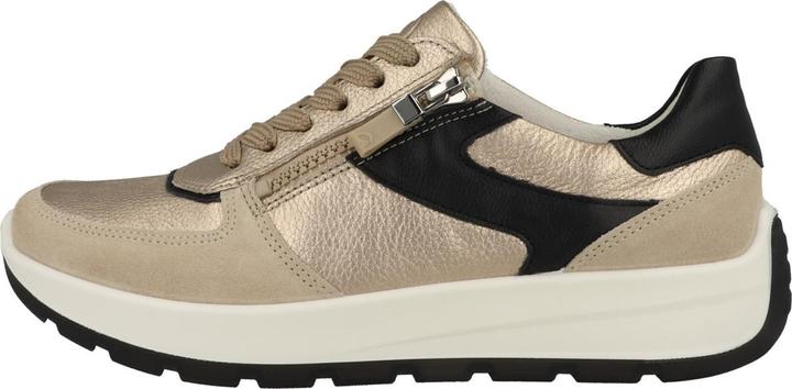 Image du produit Ara New York - 64301 (43)