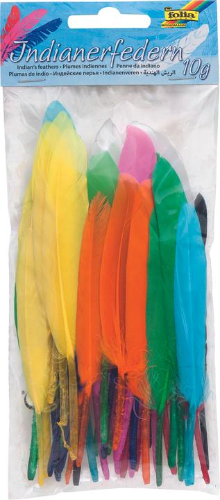 Produktbild Folia Indianerfedern, 10 g, farbig sortiert