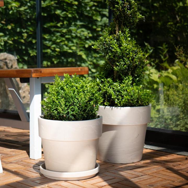 Actual product image Spang Plant pot Calima clay 32 H 28 cm granite (32 cm)