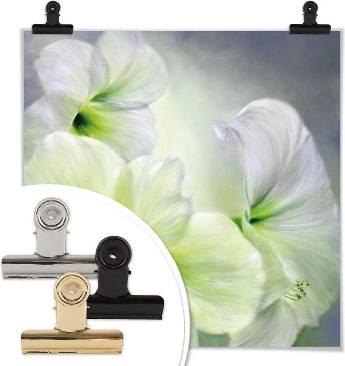 Actual product image Trenddeko White amaryllis (60 x 60 cm)