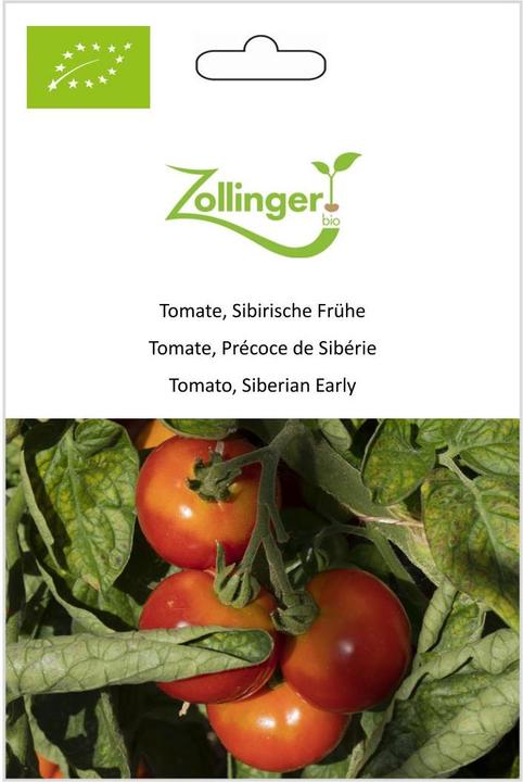 Actual product image Zollinger Bio Tomato, Siberian Early (Seedlings)