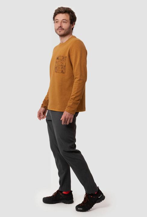 Image du produit Salewa LAVAREDO HEMP PULLOVER pour hommes. (L)