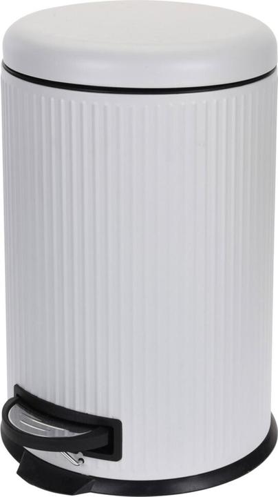 Excellent Houseware Mülleimer, weiss, 20 Liter, Edelstahl (20 l)