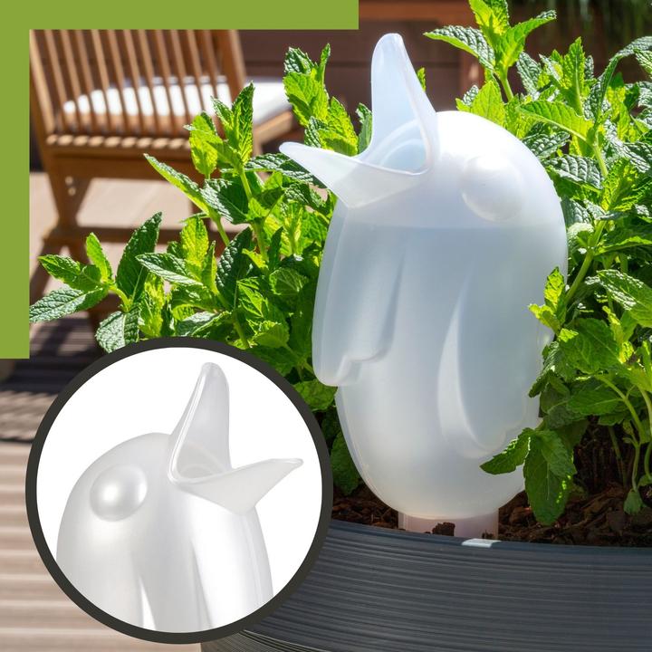 Scheurich Fontaine à eau Bördy XL | Lot de 3 Transparent/Violet/Vert | 620 ml de contenance | (Boules d'arrosage)
