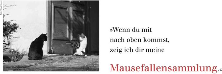 Image du produit L'agenda littéraire des chats pour la semaine 2025 (Allemand)