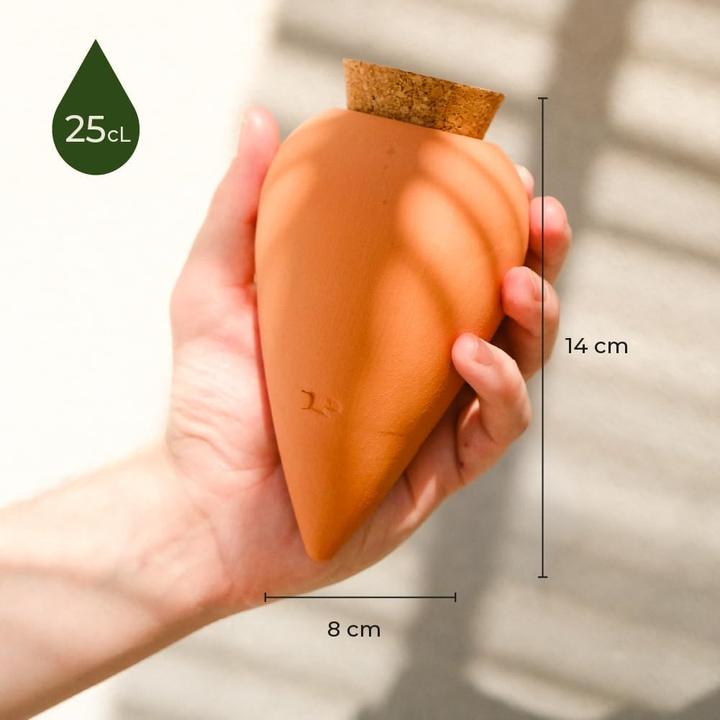 Actual product image Pepin Bewässerungskegel Olla Terrakotta (2er Set) (Clay cone)