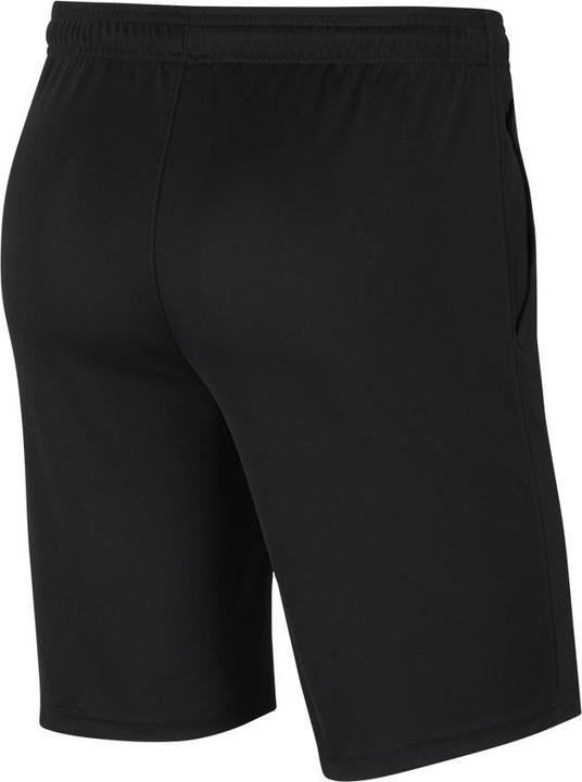 Actual product image Nike Park 20 Knit Short (S)