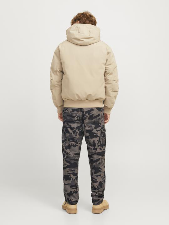 Actual product image Jack & Jones Loose Fit Cargo-Hose Cargo-Hose (W31/L34)