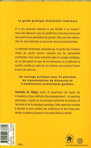 Produktbild Transformez ce qui vous plombe en trésor (Französisch, Silguy Charlotte de, 2023)