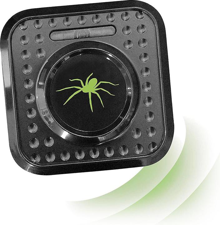 Actual product image Colibri Spider-free
