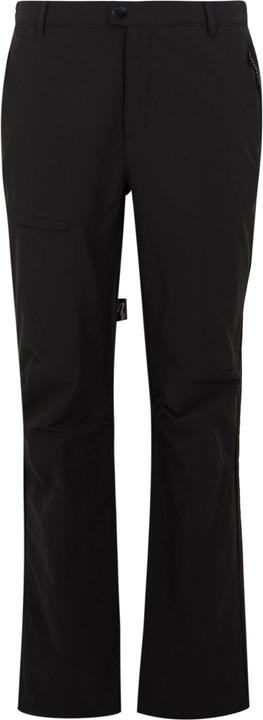 Actual product image Regatta Mens Highton II Hiking Trousers (44)