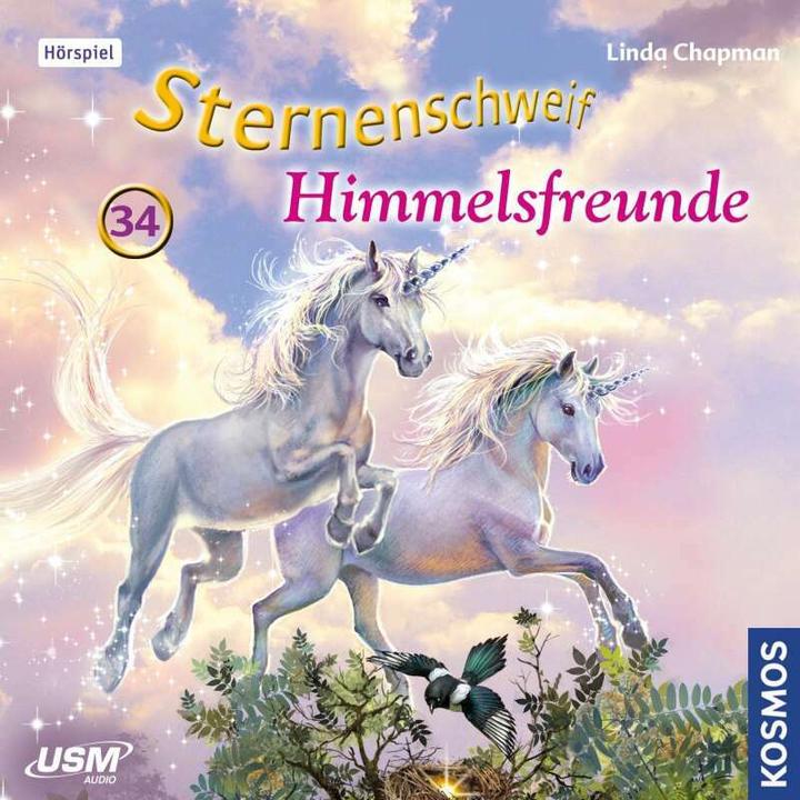 Actual product image Starry tail (episode 34): Sky friends (Linda Chapman, German)