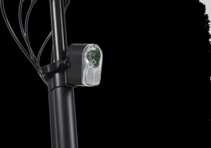Actual product image Egret Ten V3 X (20 km/h, 42 km, 500 W)