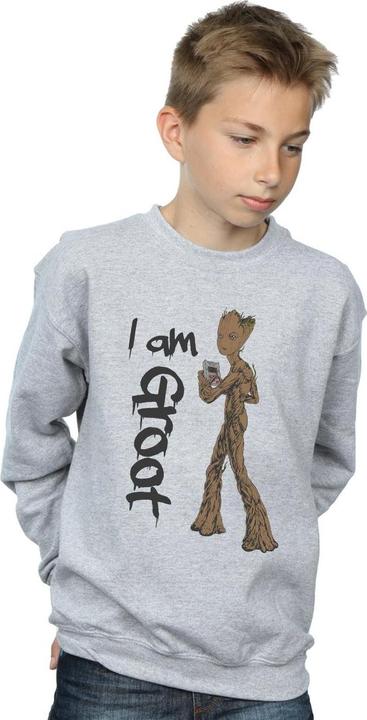 Actual product image Boys Avengers Infinity War Graffiti Groot Sweatshirt (140, 146)