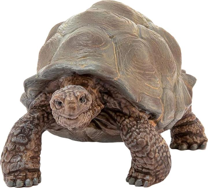 Produktbild Schleich Schleich-Riesen-Schildkröte