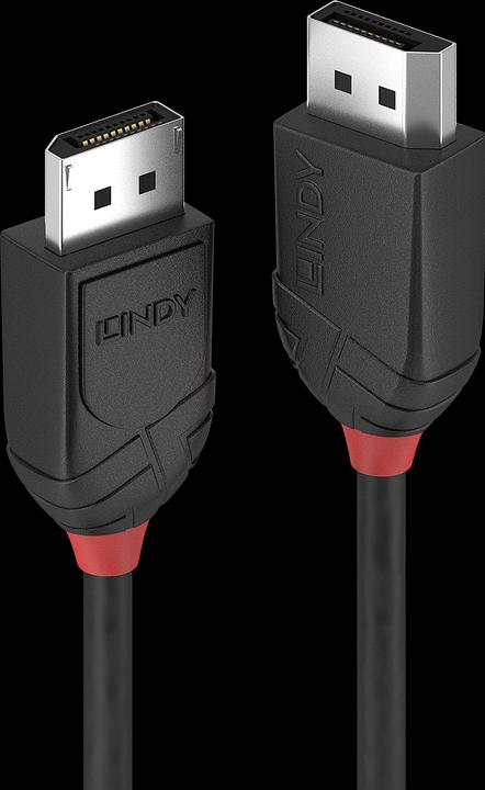 Actual product image Lindy DisplayPort — DisplayPort (3 m, DisplayPort)