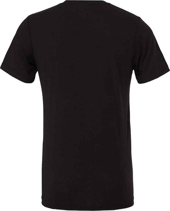 Produktbild Bella Canvas Erwachsene TriBlend TShirt (XXL)
