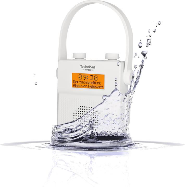 Produktbild TechniSat DigitRadio 30 (DAB+, UKW, Bluetooth)