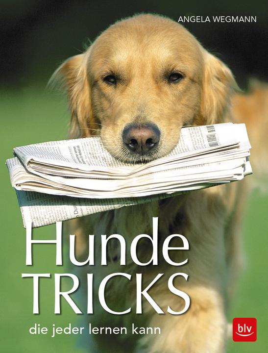 Actual product image Hundetricks (German, Angela Wegmann, 2018)