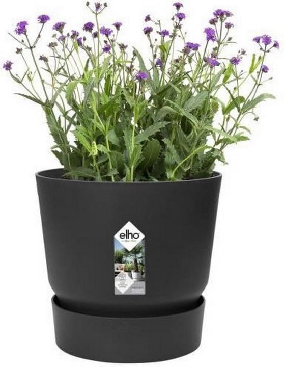 Produktbild Elho Greenville (39 cm)