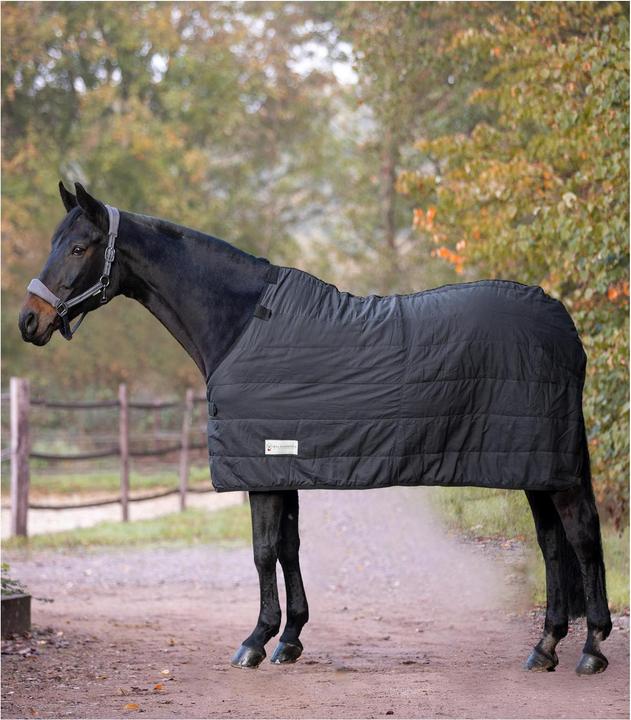Actual product image Waldhausen Thermal underblanket 200g (135 cm)