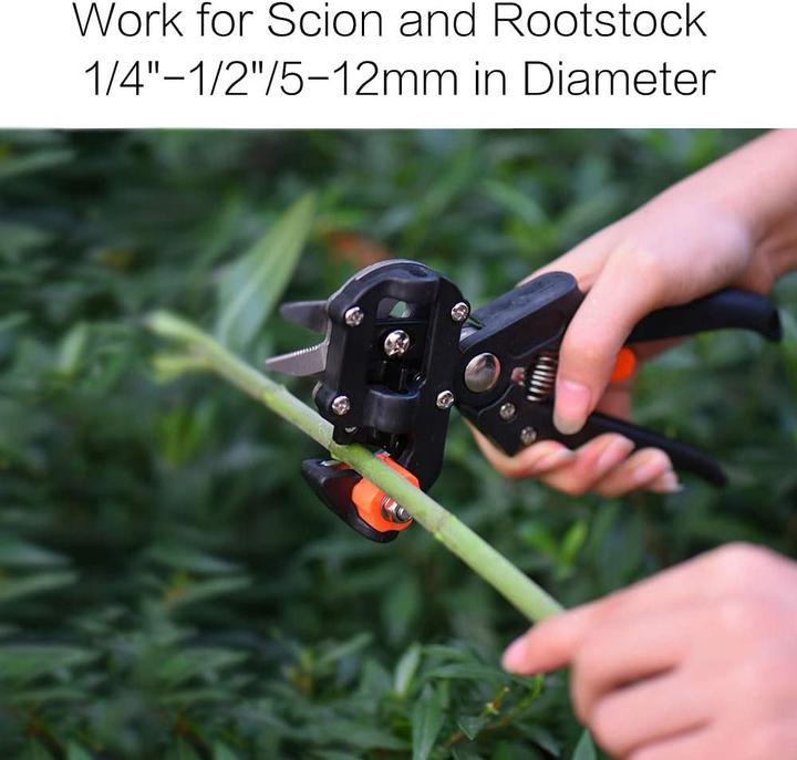 Actual product image Yolando Grafting Scissors Set