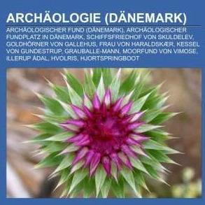 Immagine prodotto Archäologie (Dänemark) (Tedesco, Libri LLC, 2012)