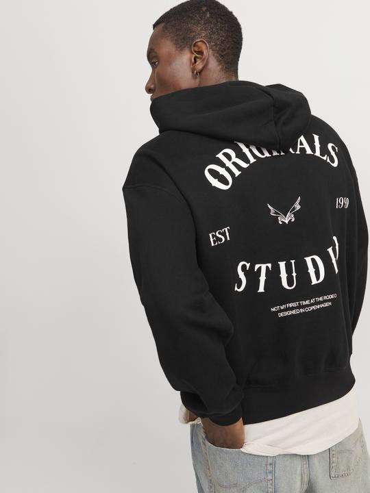 Image du produit Jack & Jones Joraustin Font Sweat Hood Styd Aw24 (M)