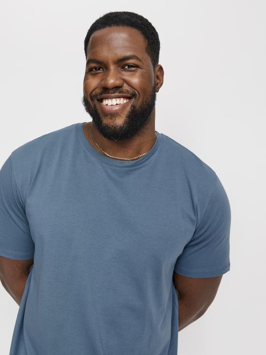 Actual product image Jack & Jones Jjeorganic Basic Tee Ss O-Neck Noos Pls (5XL)