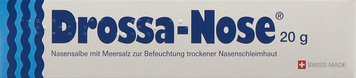 Actual product image Drossa Nose Nasal ointment (1 Piece)