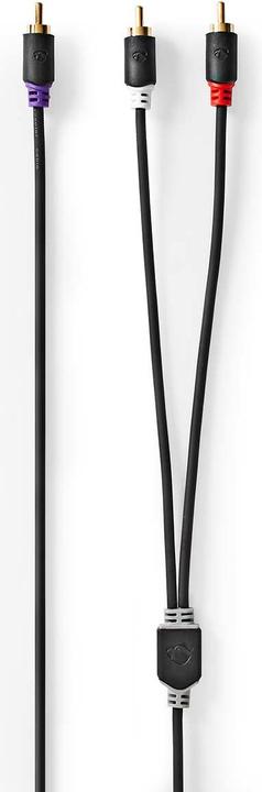 Produktbild Nedis Subwoofer Cable RCA Male 2X RCA Male Gold Plated 3.00 m Round 4.0 mm Anthracite Box (3 m)